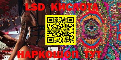 прущие грибы Лесосибирск