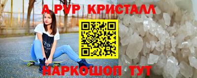 прущие грибы Лесосибирск
