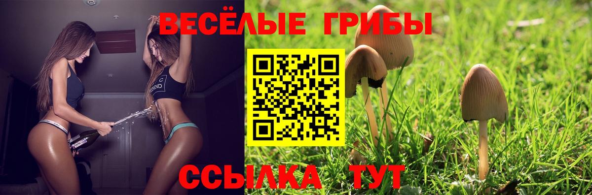 Галлюциногенные грибы MAGIC MUSHROOMS  Вход с VPN  Тулун 